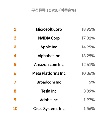 TIGER 미국테크TOP10 INDXX 보유종목